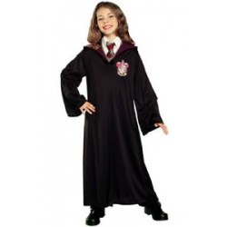 Costume Harry Poeer (Hermione)